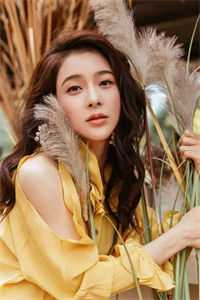 遇见真爱后，他后悔了秦淮安叶曦:结局+番外+完结