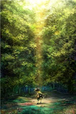 美丽的代价安橙张姐:前文+后续