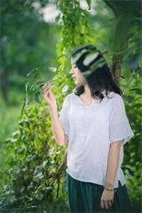 爱似流萤遇繁星无删减+无广告