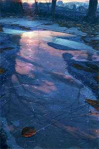 我被撞流产后，男友说是小事:全文+结局+番外