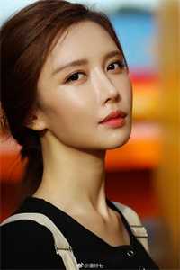 画布上的重生后续