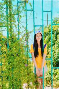 功夫巨星：我在电影行业做武替唐龙王诚番外