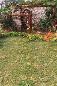 她做保姆这些年后续+结局