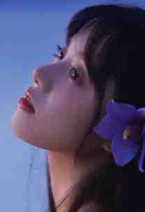 毛绒兔的彩虹约定童橦悠悠:番外+无删减版