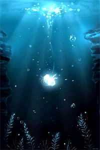 不慌，哥能代购目录