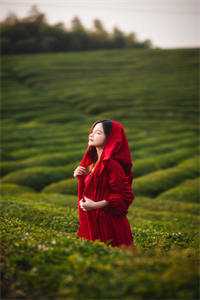 长不大的老公赵简靳茹无删减全文