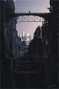 爱已成殇，荆棘丛生全文无删减