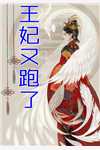 他站在回忆尽头全文免费