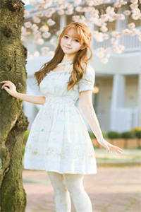 当盛夏的晚风吹过时周沫夏夏全文+结局+番外