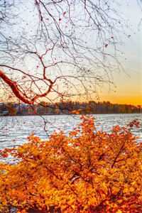 血型不对！医学博士挖出身世之谜前文+番外