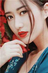 双生借命后续+无弹窗