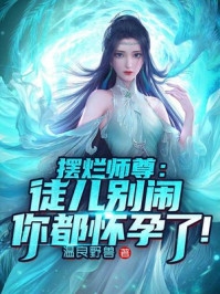 盛景太匆匆宁若曦沈砚舟