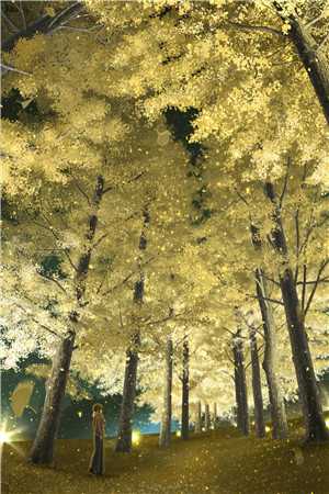 愿卿逍遥完结+番外