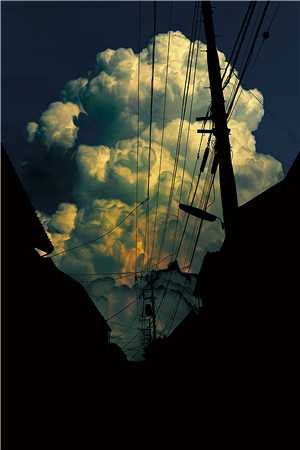 有没女主很清醒的小说?:全文+后续+结局