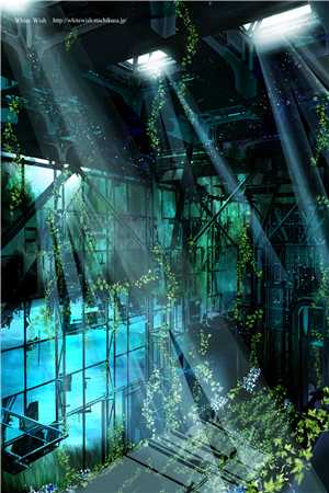 暗香疏影共朝暮热门小说苏予安陆照雪