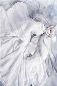 齐世奇谭之草原危机