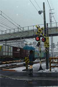 爱似潮水退去陆司寒林雪柔无删减全文