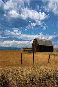 穿成魔尊竹马后只想给魔尊找媳妇:(番外)+(全文)