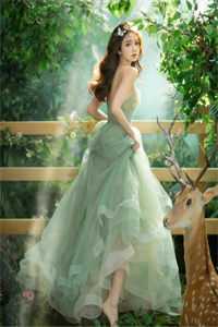 一枕槐安小说结局