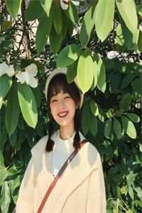 官途风云前言+后续