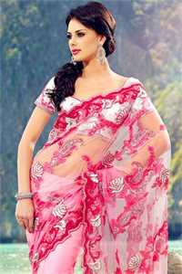 蔷薇利刃：首席秘书的完反杀全文+后续