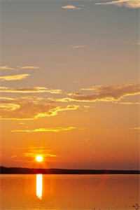 捡到失忆大佬周宪郑乾全文+番茄