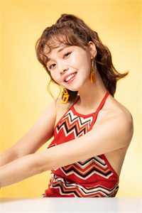 顶流前男友只想官宣复合顾岚宋黎安完结文