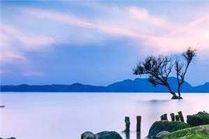 我不怕黑，因为我就是光全文+后续