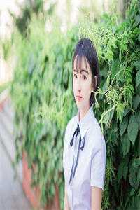 雾散后，春山没有路:(番外)+(结局)