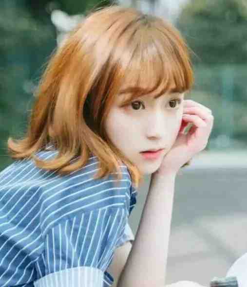 虚假爱意前言+后续