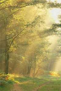 如果不能相濡以沫，那就相忘于江湖全文+后续+结局