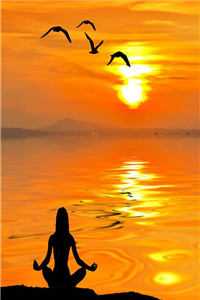 天价婚约：总裁的替身甜妻全文免费