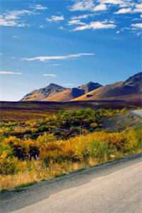 全员恶人？我靠弹幕杀出豪门宋铭林曦完结文