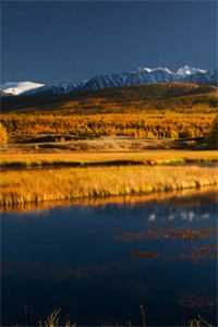 新婚之夜，老婆彻夜未归前文+番外