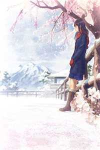 婆婆的硅胶孙子:全章+后续