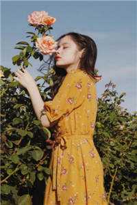 五年后，前男友突然求复合顾墨琛沈青禾后续+完结