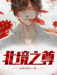 永夜重启陆沉舟小眠结局+番外