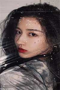 碎月信札无删减+无广告