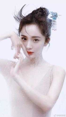 星图密令沈洛沈溏结局+番外