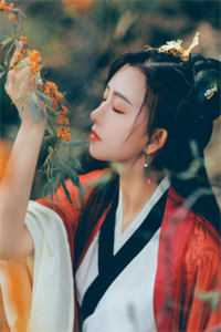 情散碧天长小说