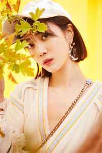 布衣的江湖奇妙游沈记刘海:全文+结局+番外