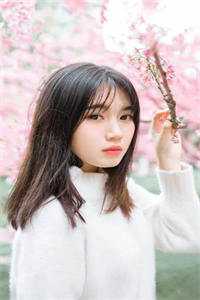 回眸已成戏中人后续+全文