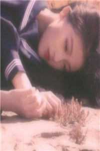 三胞胎女儿被野兽咬死，霸总老公疯了前言+后续