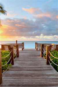 知道舔狗是太子爷后，她天塌了后续