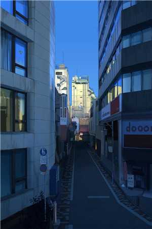 被废后，朕在校园杀疯了全本+番外+后续