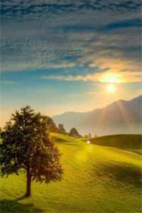 重生后，我放弃拯救残废前夫宁煜城姜雨晴完结文