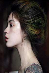 可叹惊鸿一瞥小说