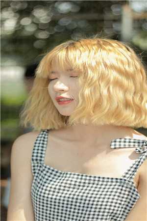 凤栖梧桐锁情长林晚意萧沉舟大结局