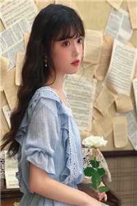 观风亦止遇惊鸿小说免费阅读