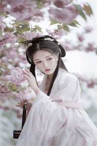 休了将军后，我转身嫁他死对头全本+番外+后续